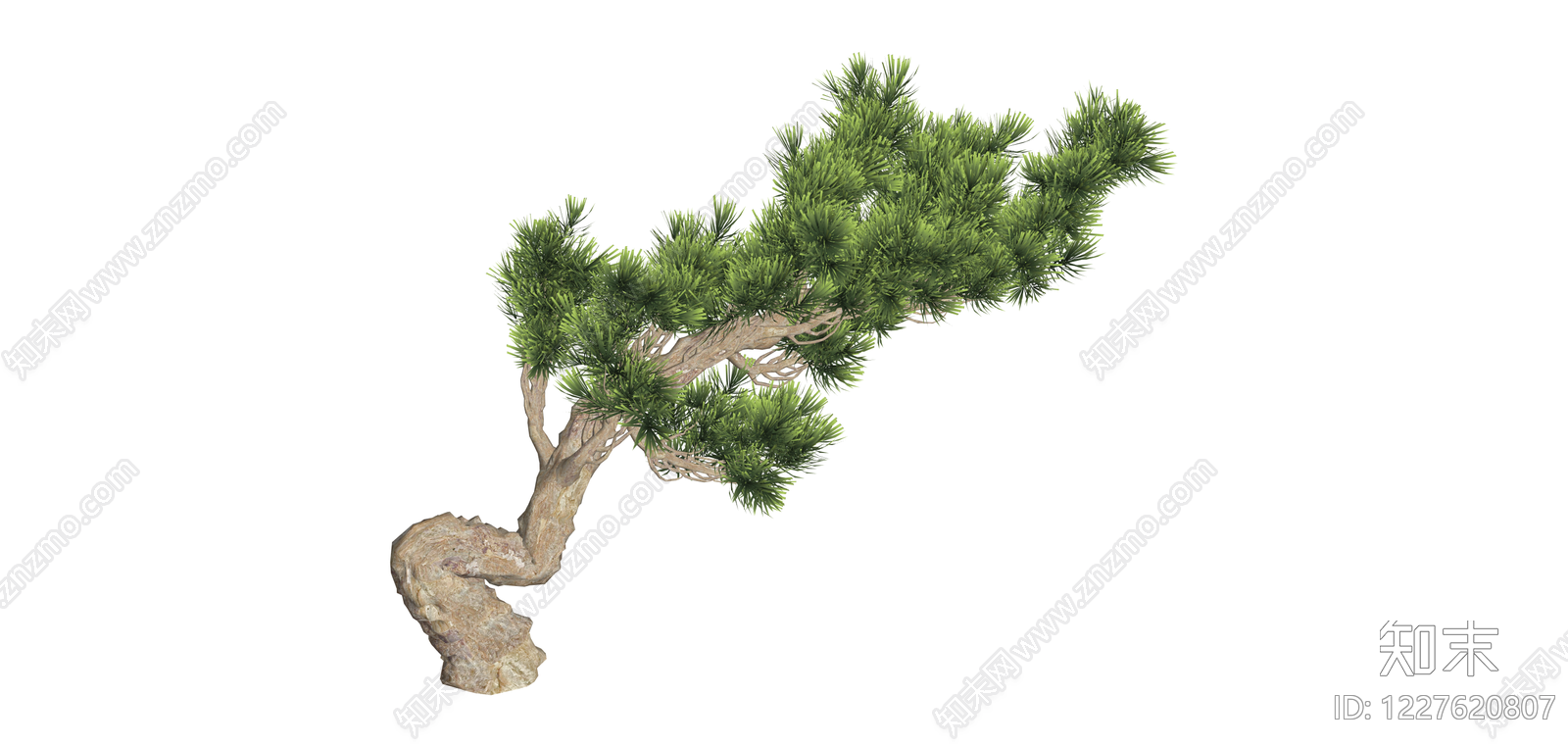造型松树景观植物SU模型下载【ID:1227620807】