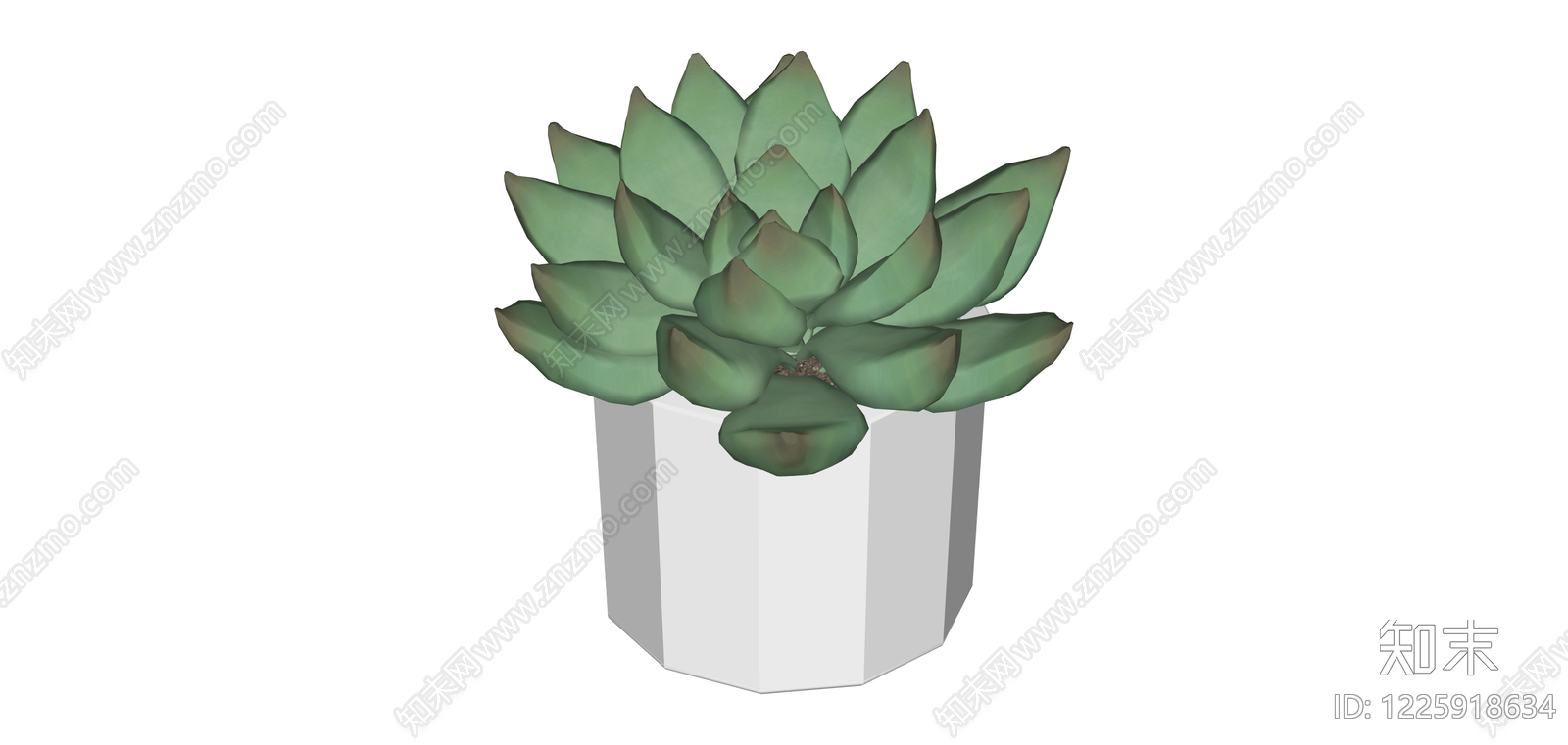 盆栽多肉植物SU模型下载【ID:1225918634】