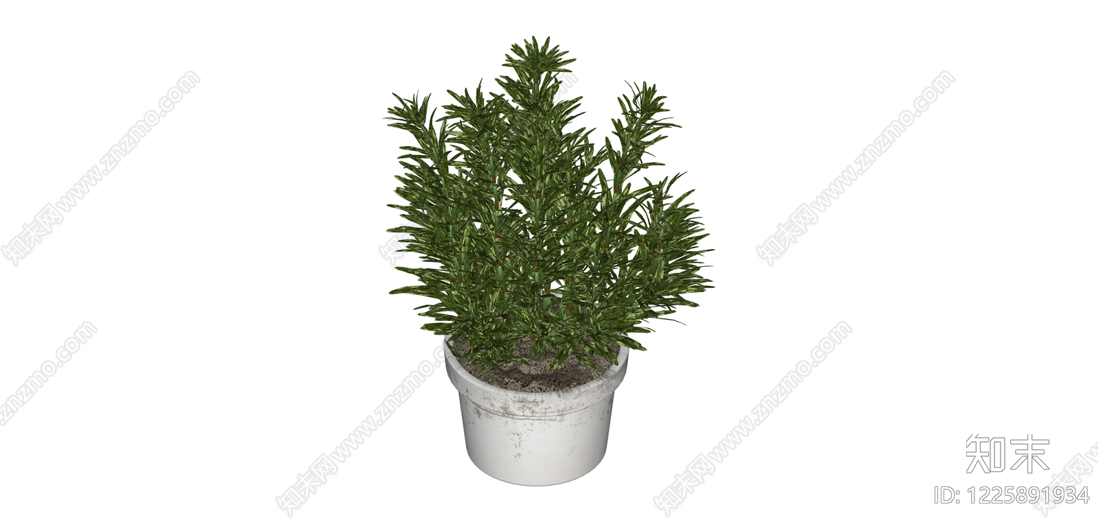 盆栽迷迭香绿植SU模型下载【ID:1225891934】