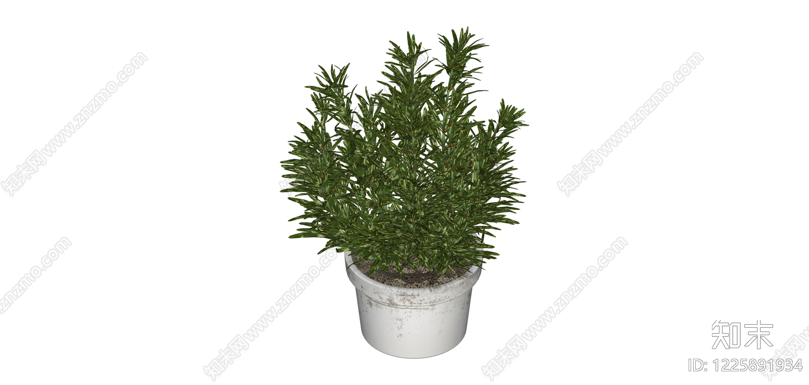 盆栽迷迭香绿植SU模型下载【ID:1225891934】