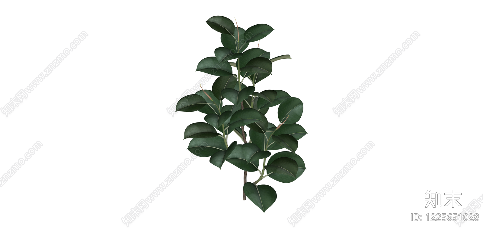 仿真橡皮树绿植SU模型下载【ID:1225651028】