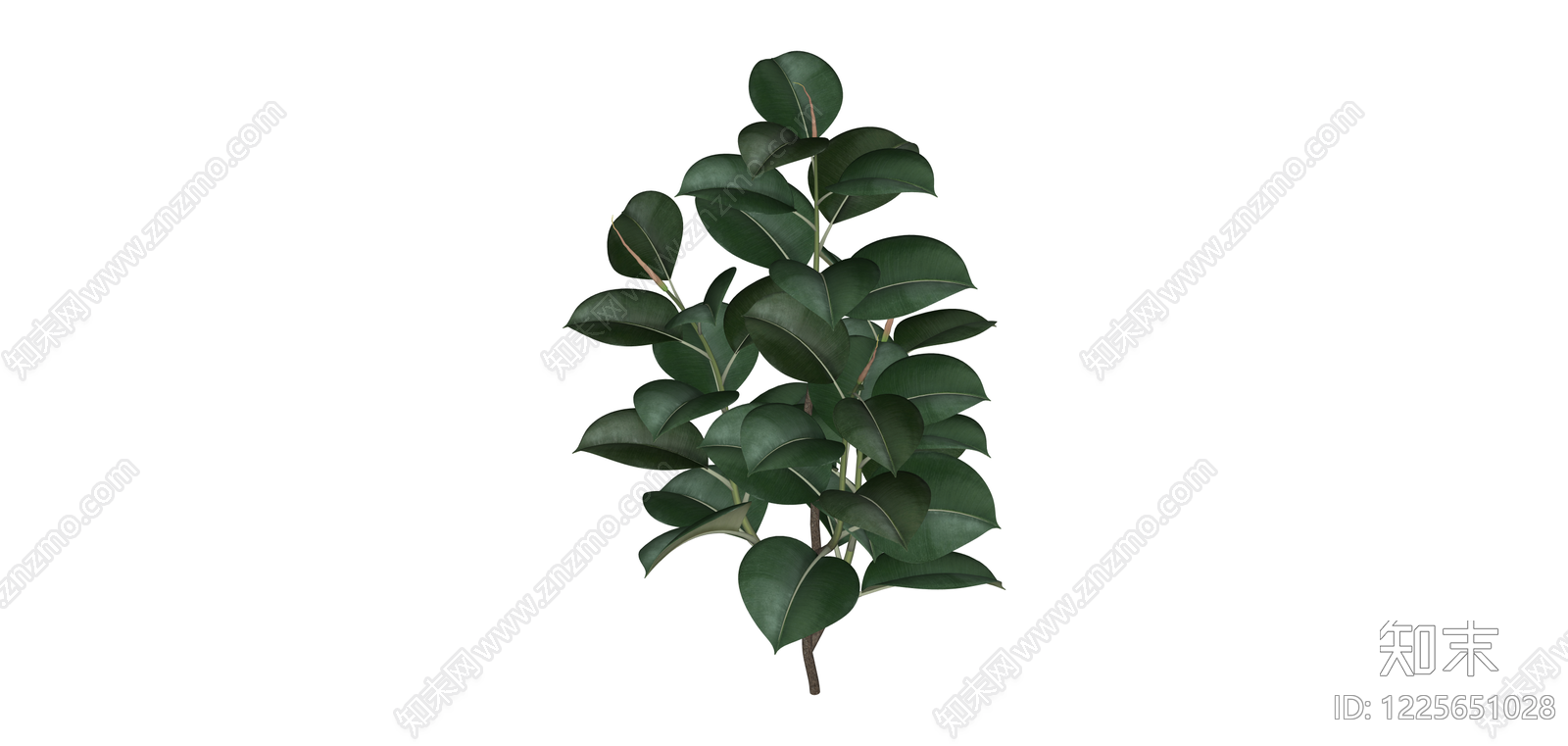 仿真橡皮树绿植SU模型下载【ID:1225651028】
