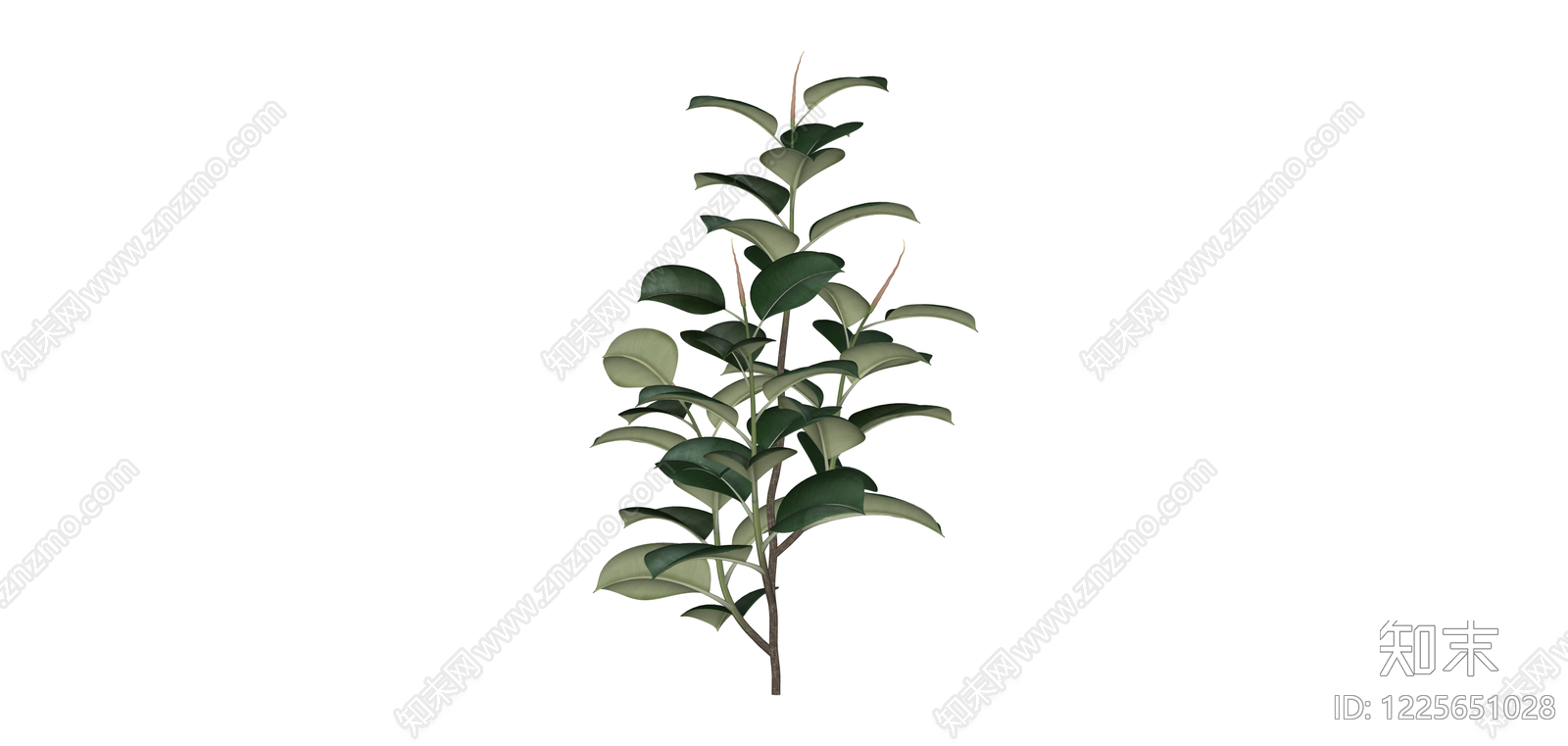 仿真橡皮树绿植SU模型下载【ID:1225651028】