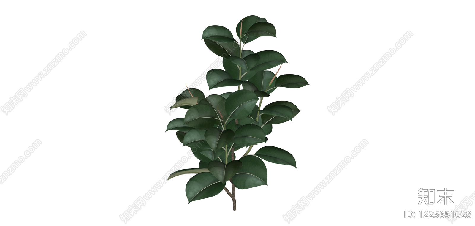 仿真橡皮树绿植SU模型下载【ID:1225651028】