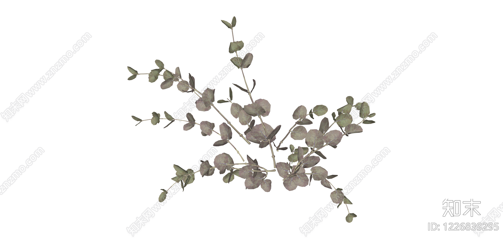 尤加利叶干花束SU模型下载【ID:1226839295】