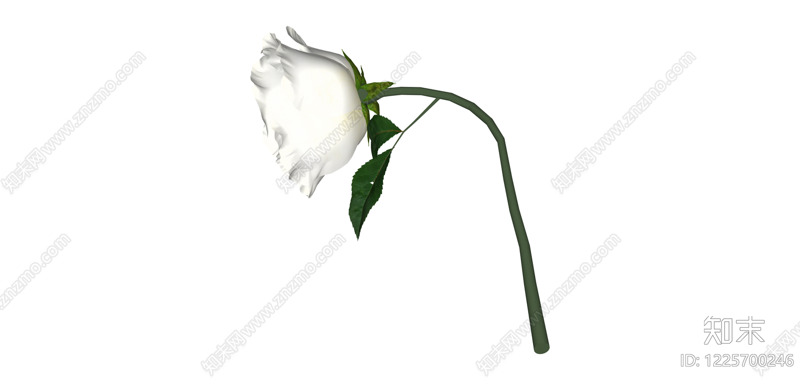 白玫瑰花卉模型SU模型下载【ID:1225700246】