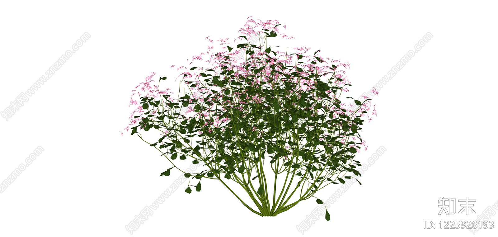 粉色花叶灌木绿植SU模型下载【ID:1225926193】