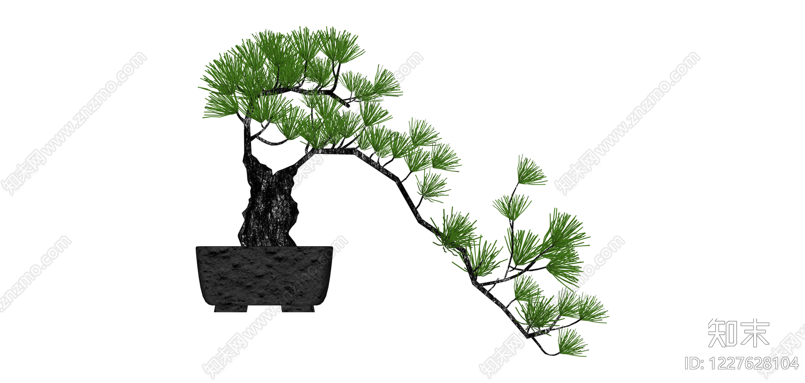 黑盆松树盆景SU模型下载【ID:1227628104】