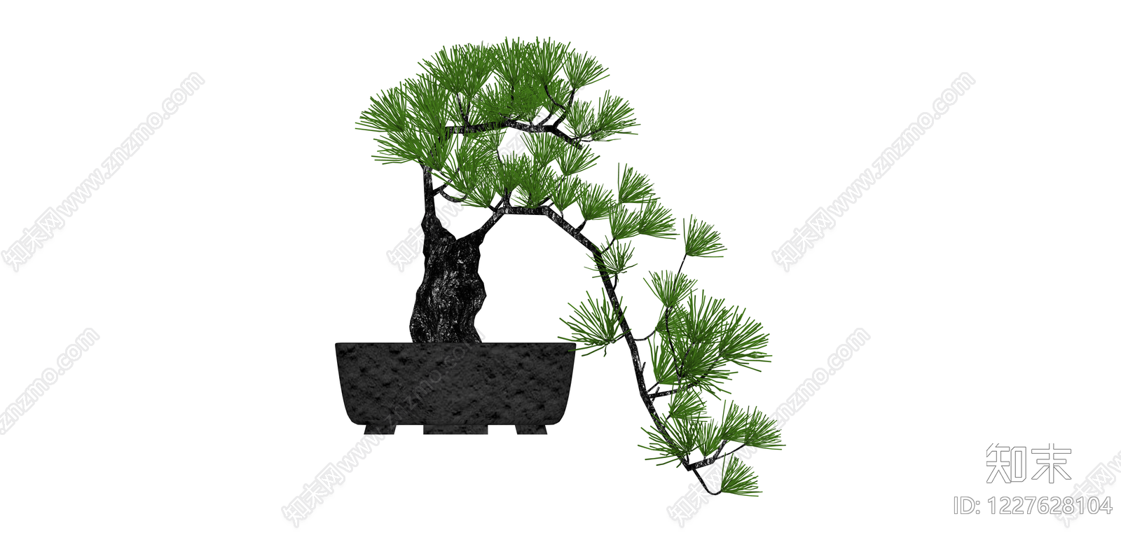 黑盆松树盆景SU模型下载【ID:1227628104】