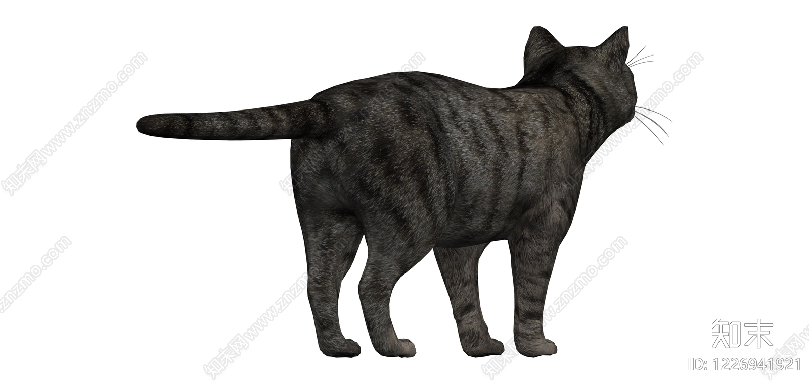 灰色虎斑猫模型SU模型下载【ID:1226941921】