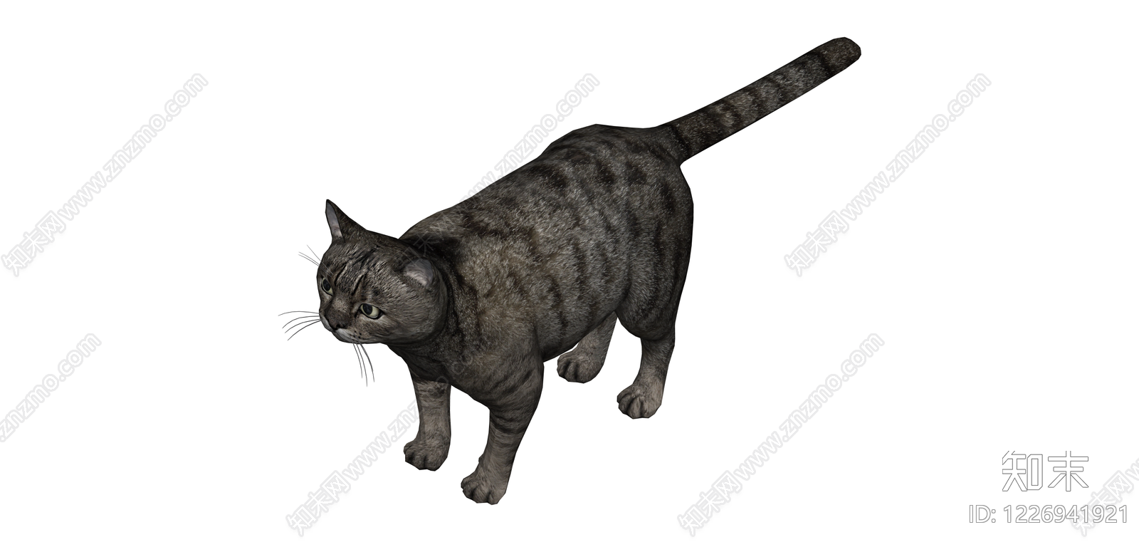 灰色虎斑猫模型SU模型下载【ID:1226941921】