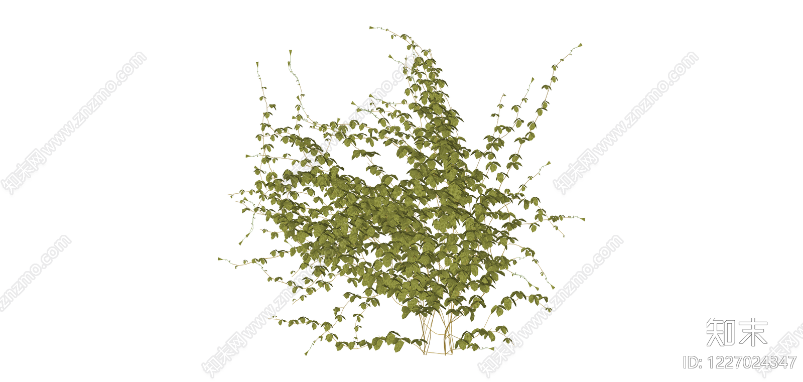 绿色藤蔓植物模型SU模型下载【ID:1227024347】