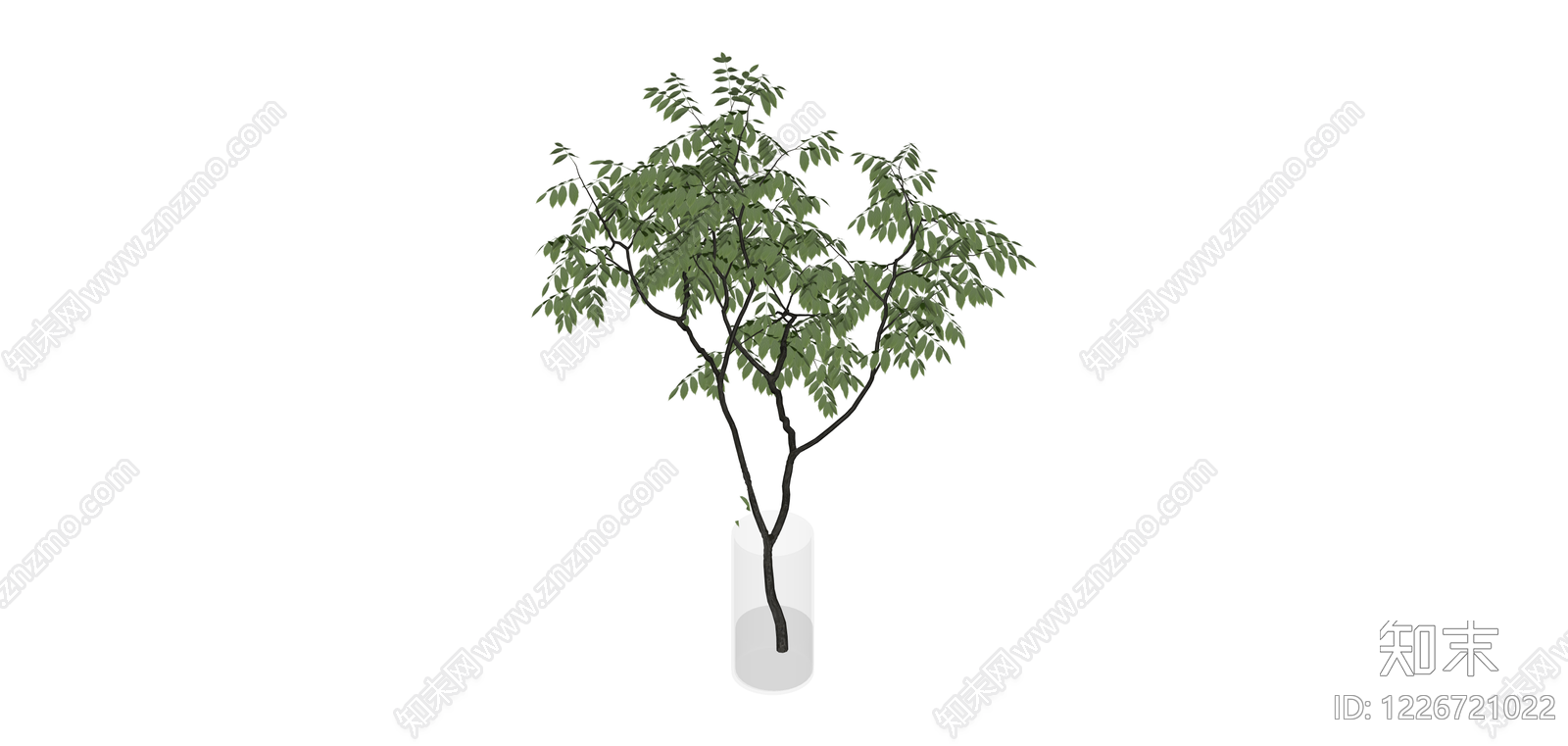 透明花瓶插枝绿植SU模型下载【ID:1226721022】