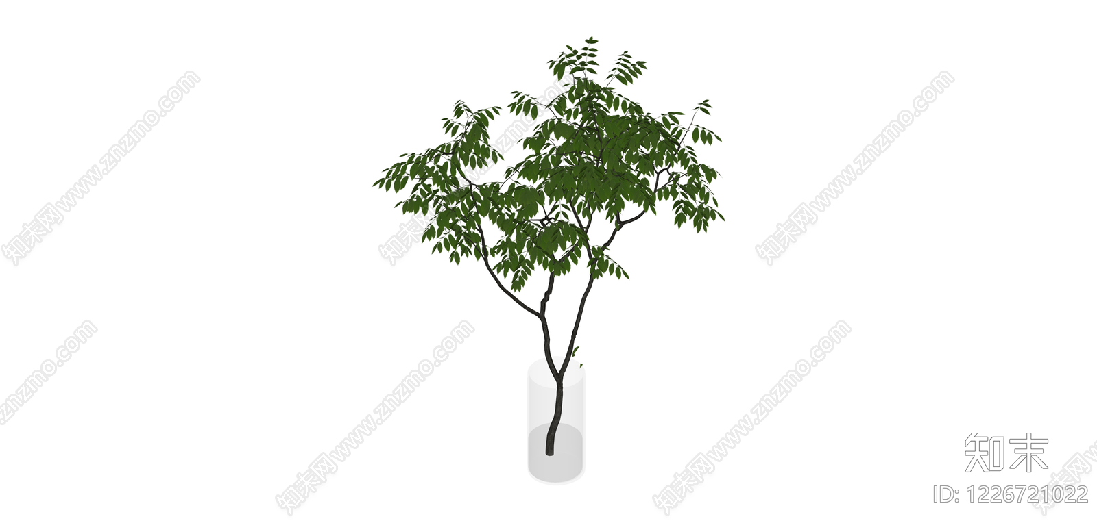 透明花瓶插枝绿植SU模型下载【ID:1226721022】