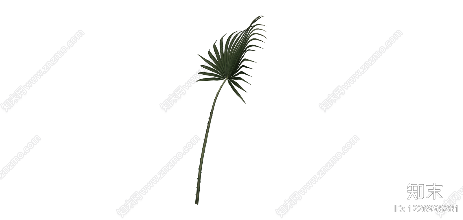 单片棕榈植物叶片SU模型下载【ID:1226998281】