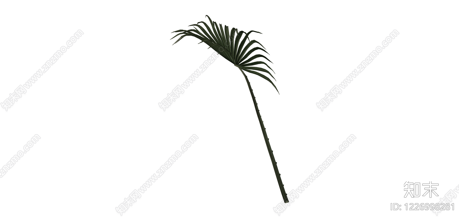 单片棕榈植物叶片SU模型下载【ID:1226998281】