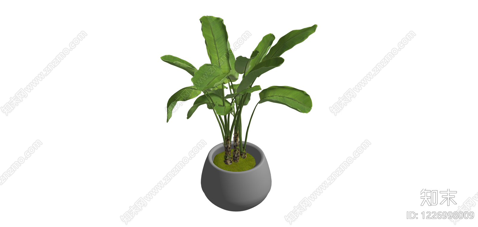 盆栽绿植SU模型下载【ID:1226998009】