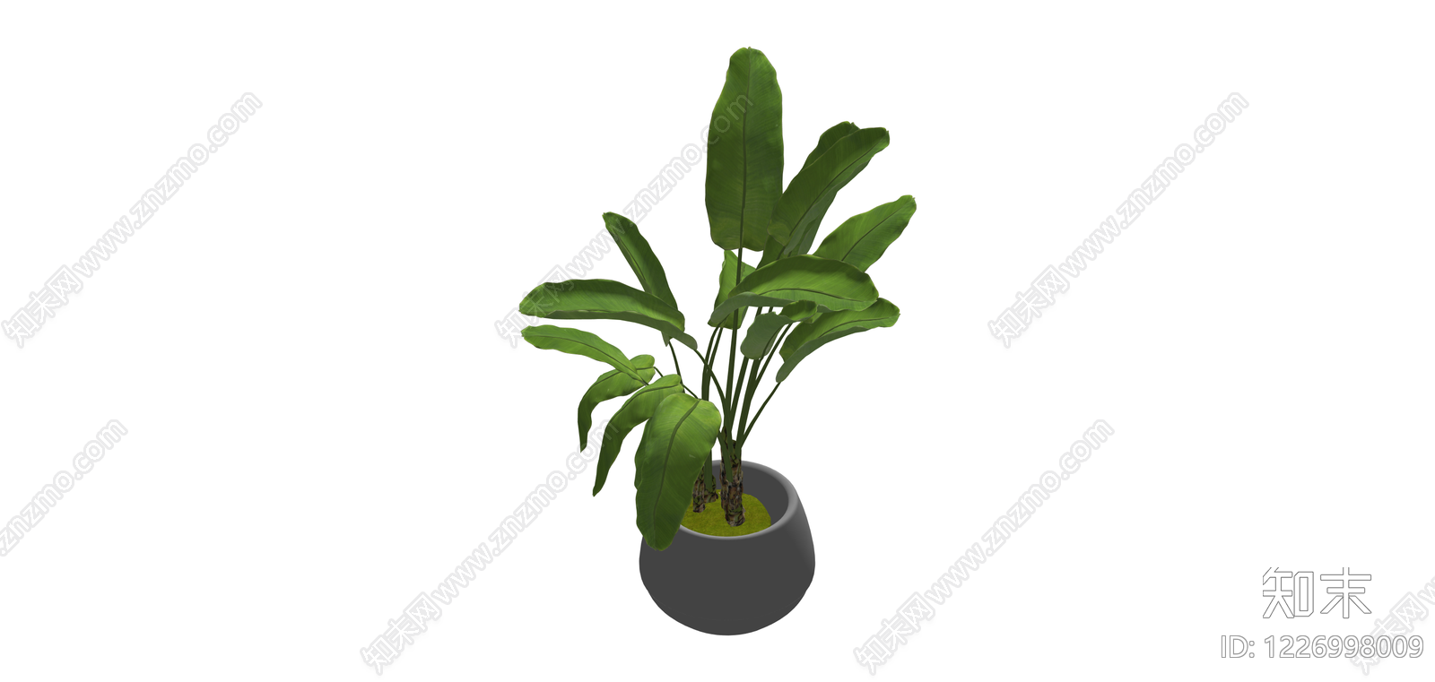 盆栽绿植SU模型下载【ID:1226998009】