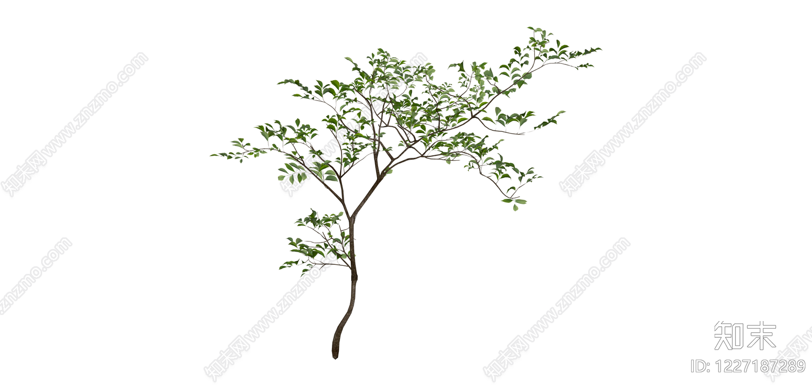 独立绿植树木模型SU模型下载【ID:1227187289】