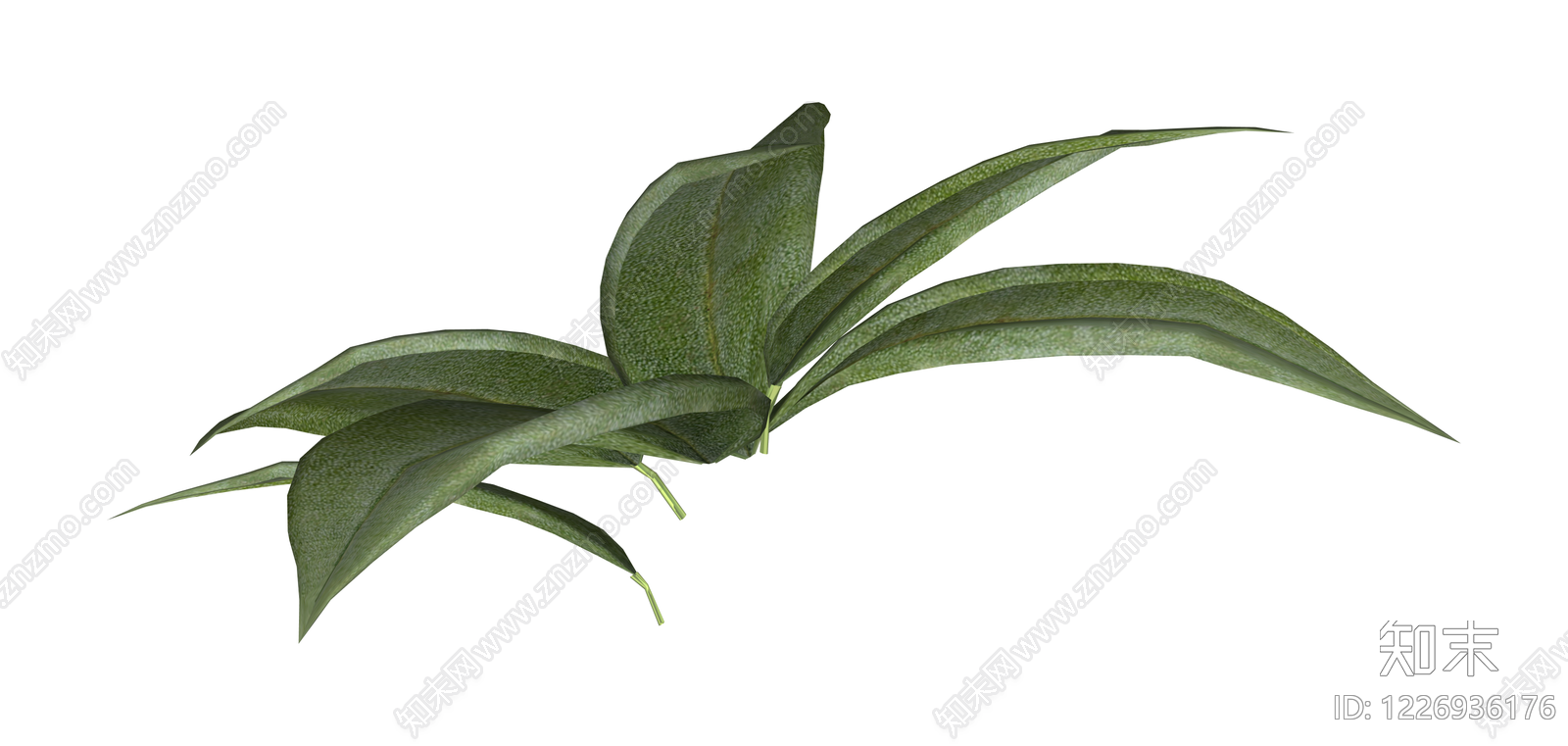 绿色阔叶植物组件SU模型下载【ID:1226936176】