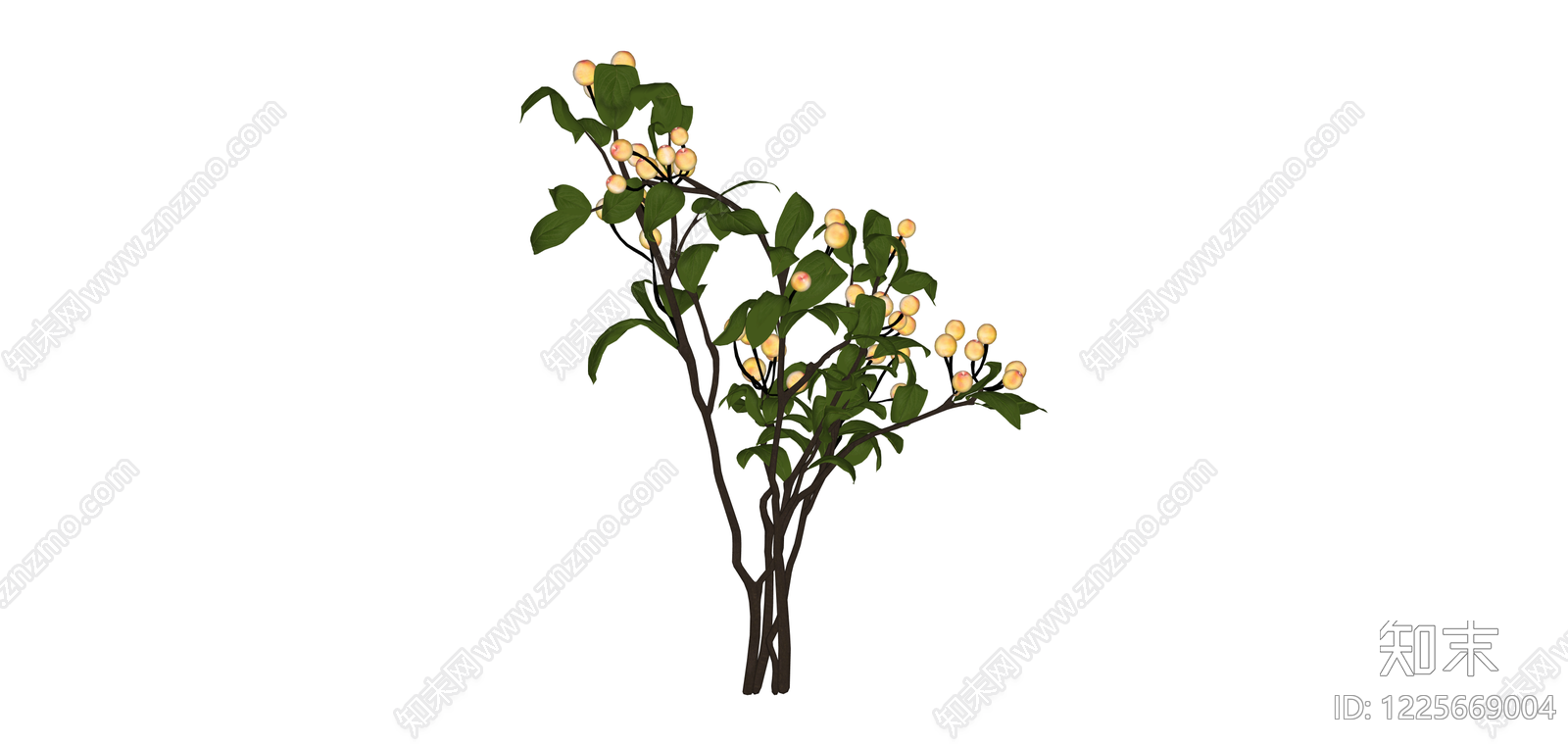 带果绿植组合SU模型下载【ID:1225669004】
