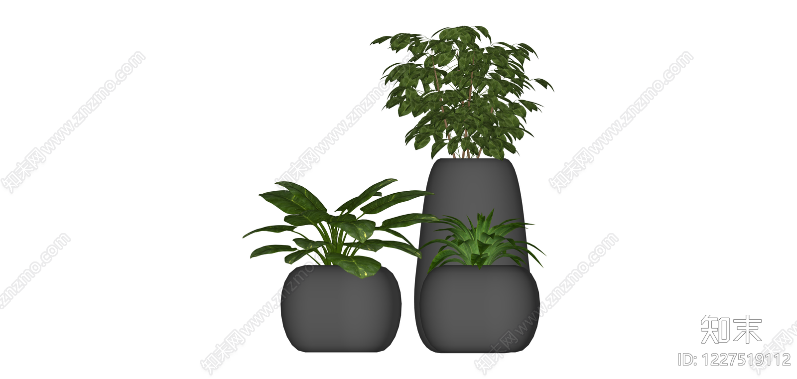 三盆组合绿植盆栽SU模型下载【ID:1227519112】