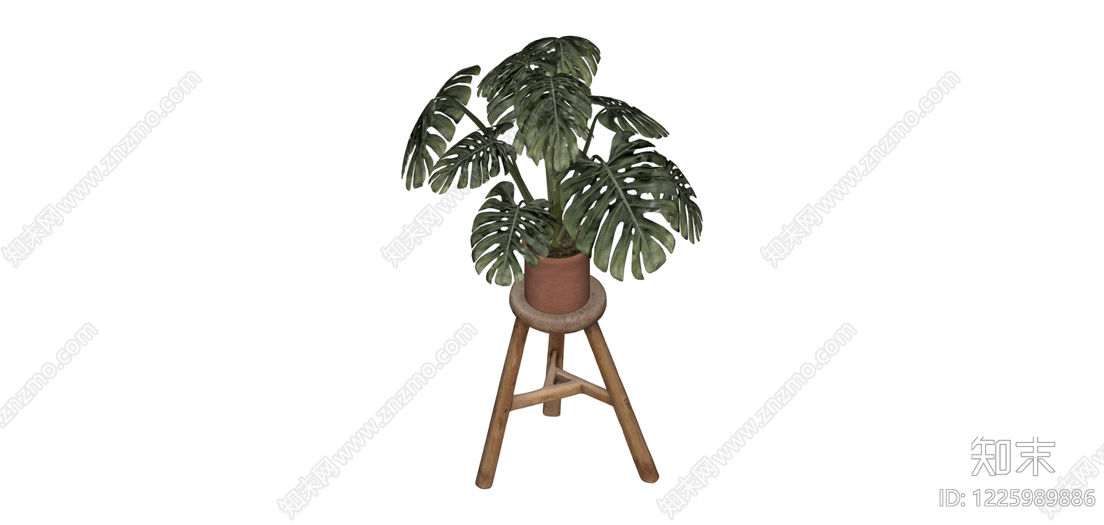盆栽龟背竹绿植SU模型下载【ID:1225989886】