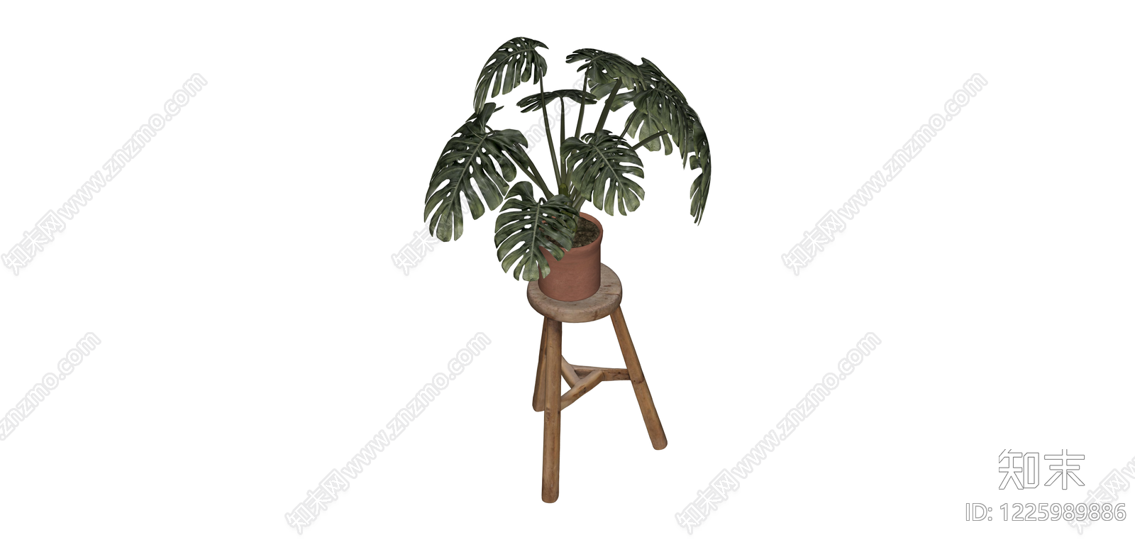 盆栽龟背竹绿植SU模型下载【ID:1225989886】