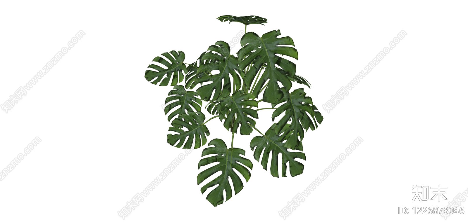 龟背竹盆栽绿植SU模型下载【ID:1226873046】