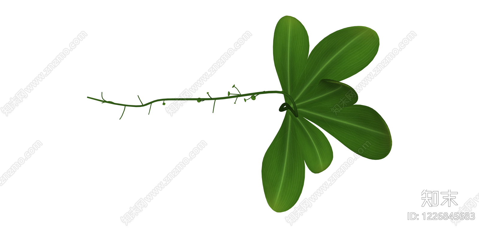 带花茎绿植模型SU模型下载【ID:1226845683】
