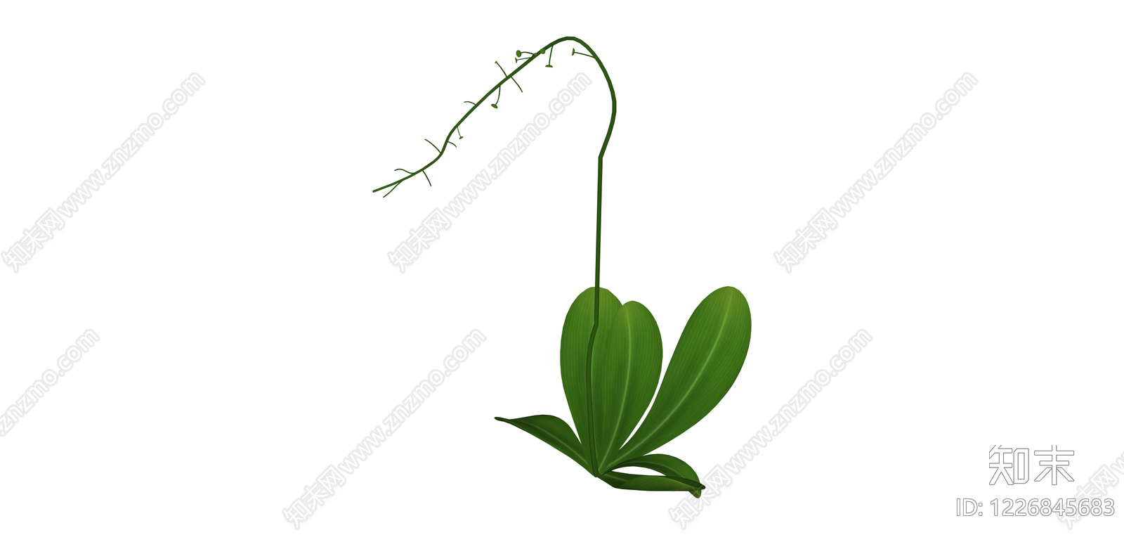 带花茎绿植模型SU模型下载【ID:1226845683】