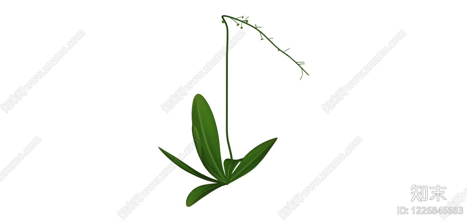 带花茎绿植模型SU模型下载【ID:1226845683】