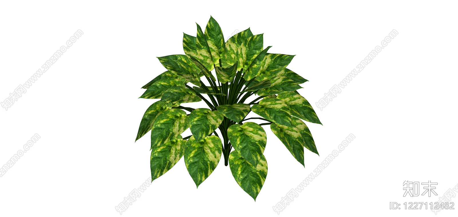 带盆绿植盆栽SU模型下载【ID:1227112482】