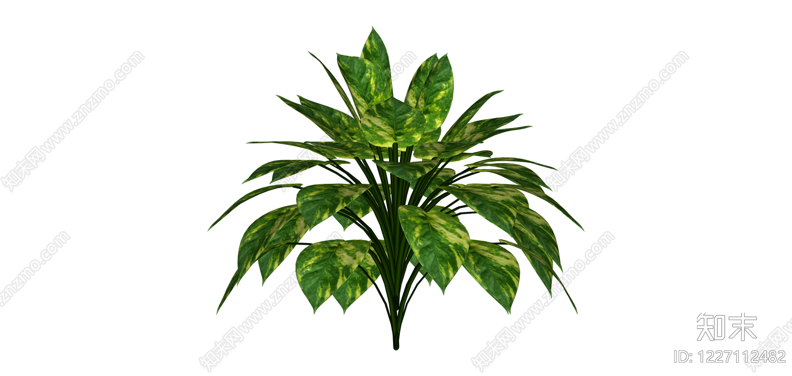 带盆绿植盆栽SU模型下载【ID:1227112482】