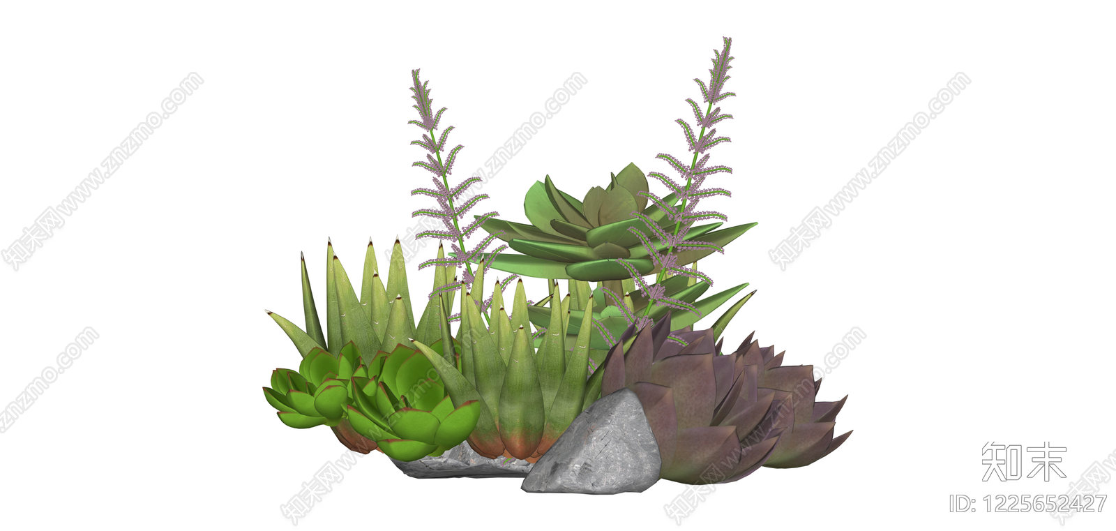 多肉植物景观组合SU模型下载【ID:1225652427】