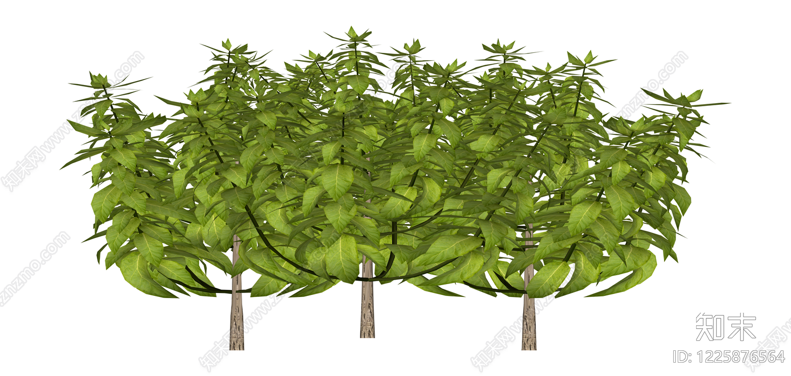 三株组合景观树木SU模型下载【ID:1225876564】