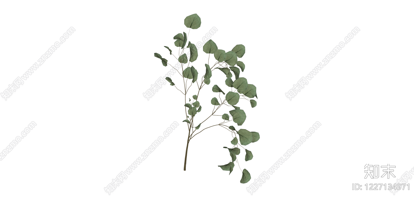 仿真尤加利叶绿植SU模型下载【ID:1227134971】