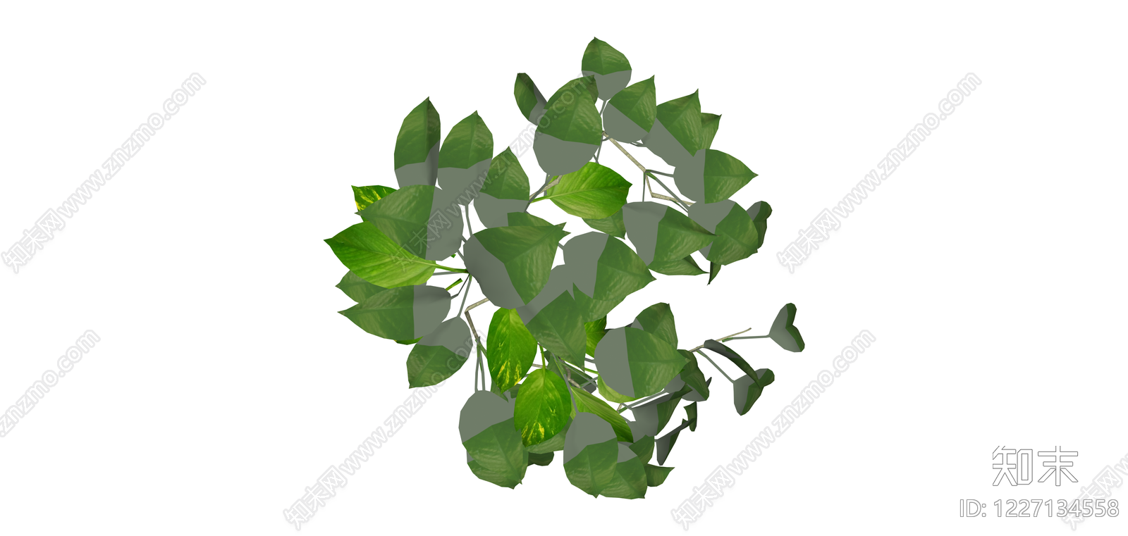 垂吊绿植藤蔓组件SU模型下载【ID:1227134558】
