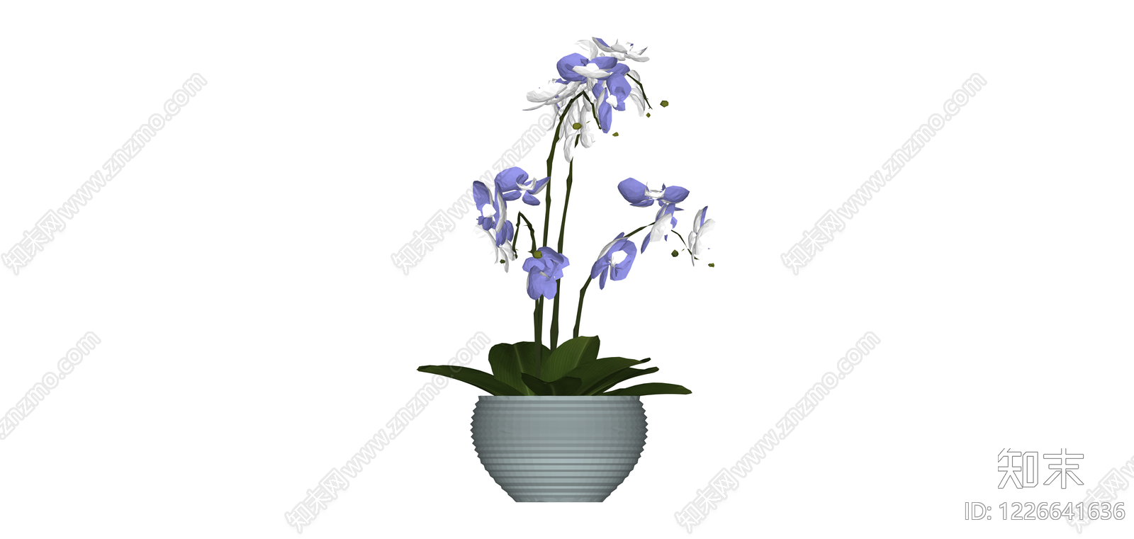蓝白兰花盆栽SU模型下载【ID:1226641636】