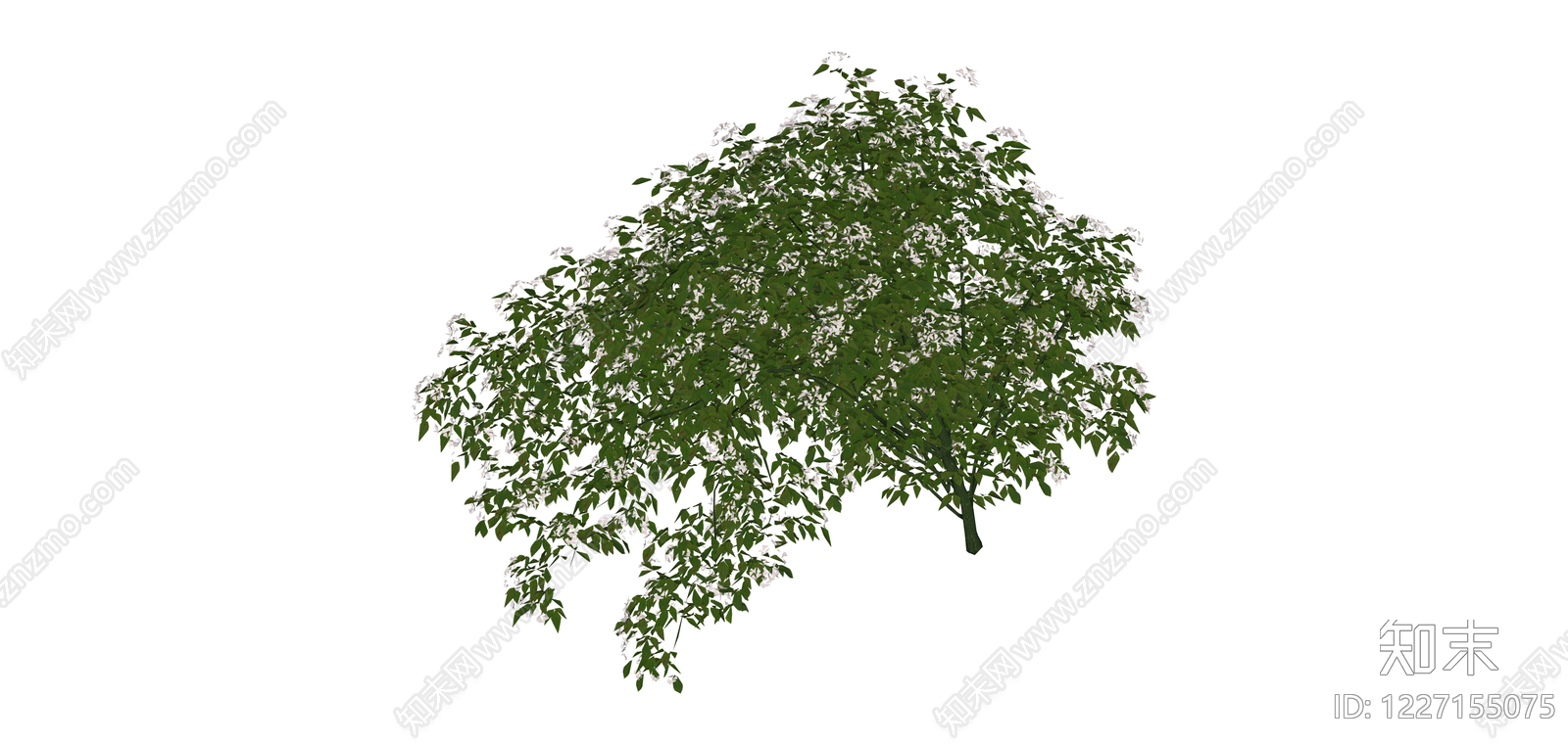 白模垂枝植物SU模型下载【ID:1227155075】