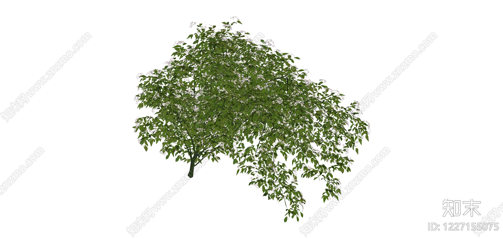 白模垂枝植物SU模型下载【ID:1227155075】