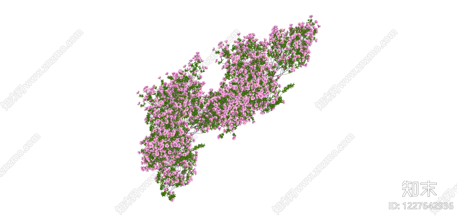 粉色开花灌木模型SU模型下载【ID:1227642936】
