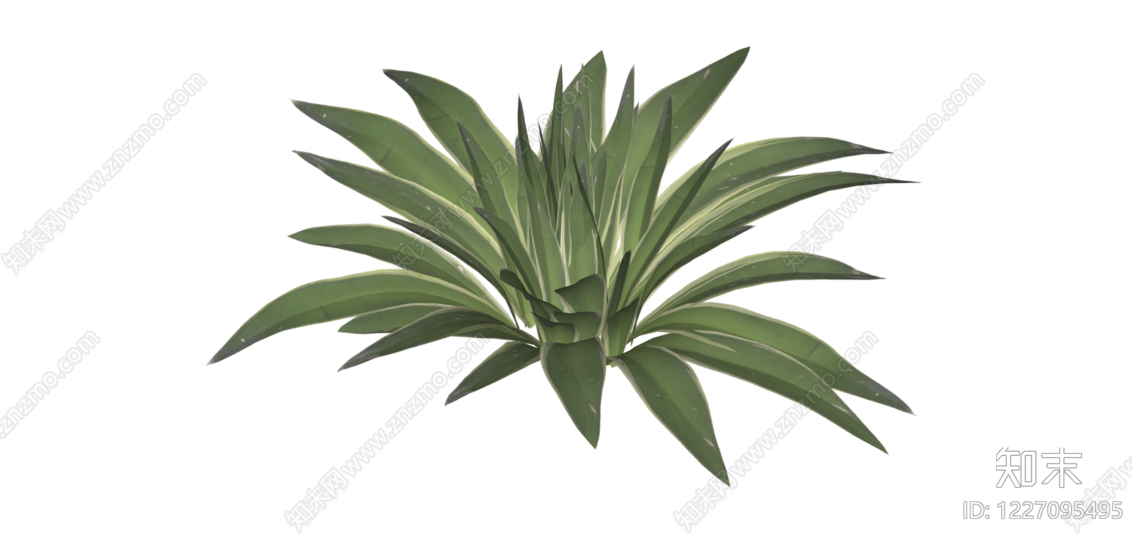 金边龙舌兰绿植模型SU模型下载【ID:1227095495】