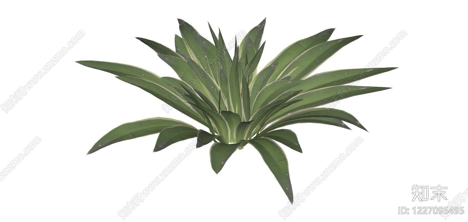 金边龙舌兰绿植模型SU模型下载【ID:1227095495】