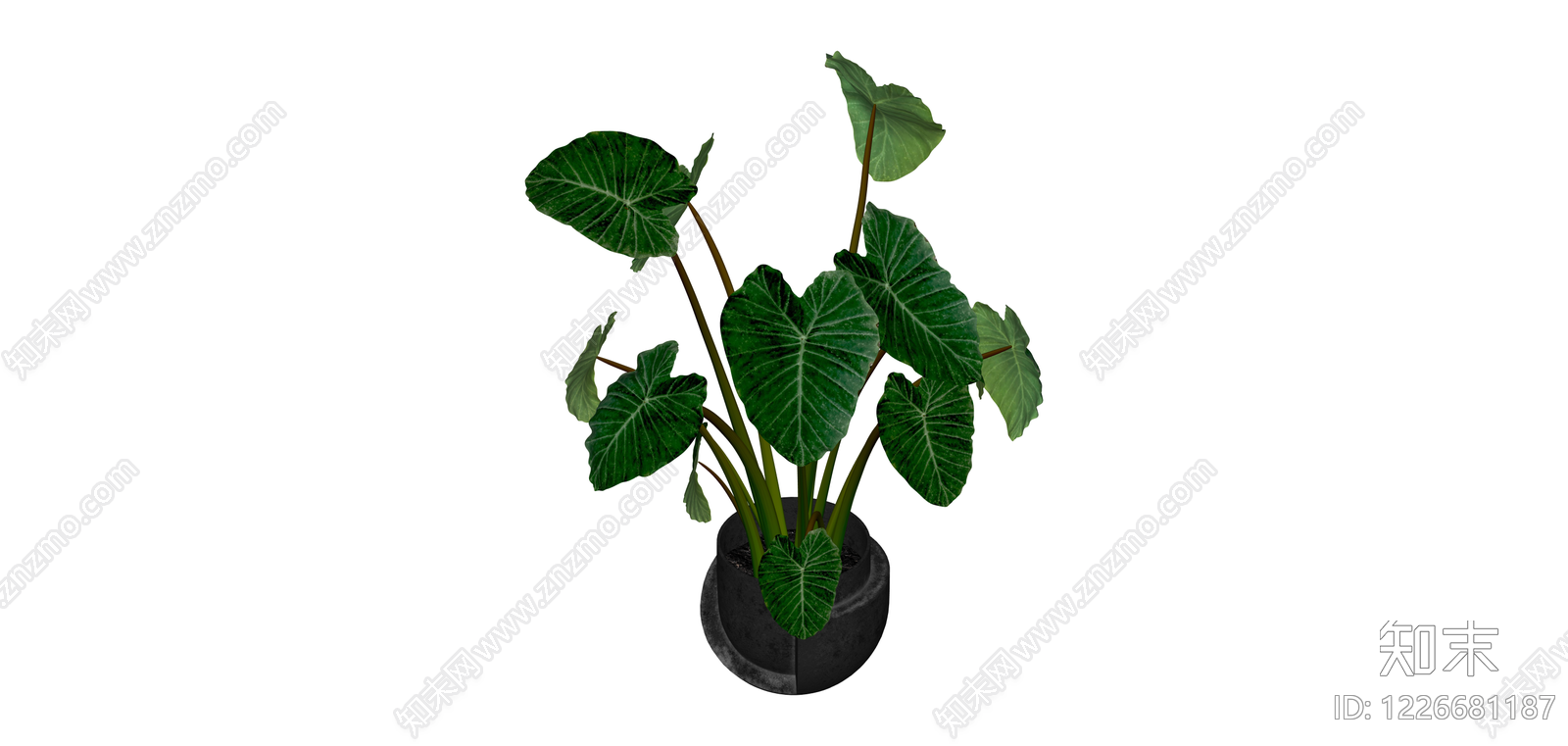 深色盆栽绿植SU模型下载【ID:1226681187】