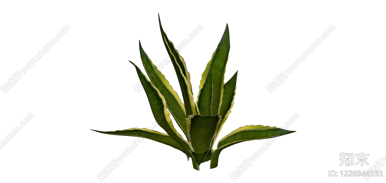 虎尾兰盆栽植物SU模型下载【ID:1226946135】