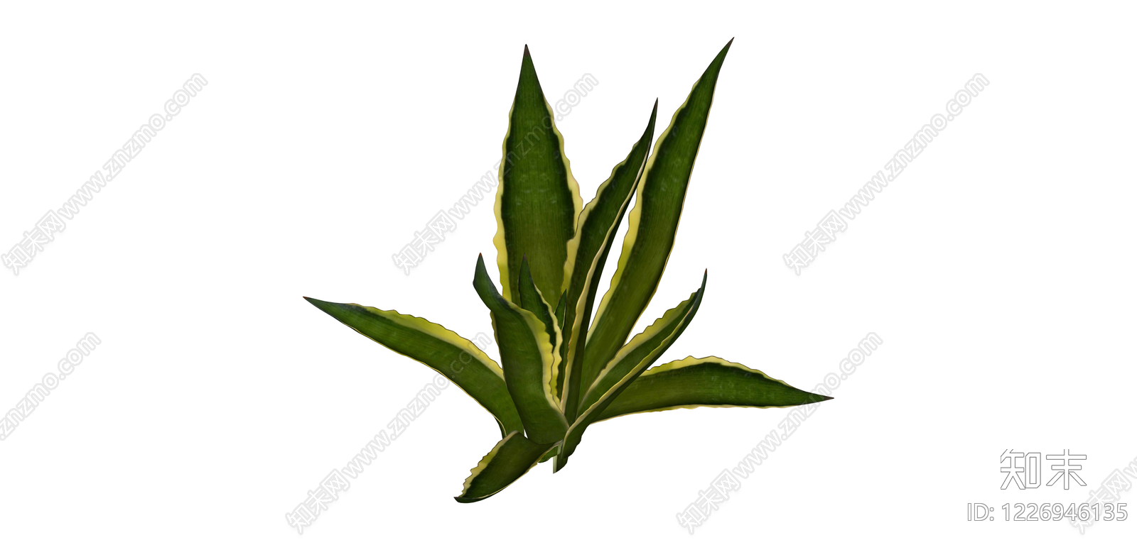 虎尾兰盆栽植物SU模型下载【ID:1226946135】
