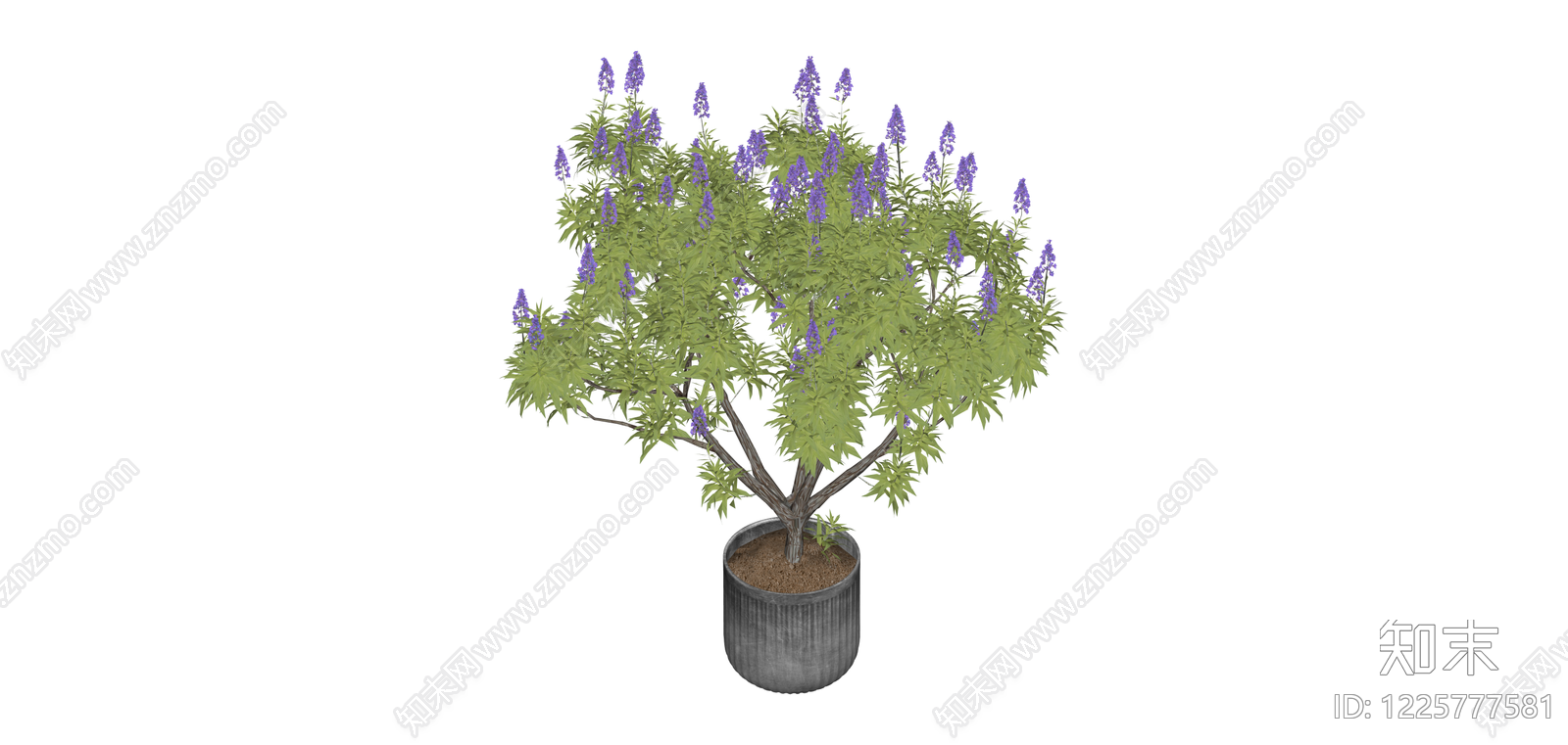 紫色花盆栽植物SU模型下载【ID:1225777581】