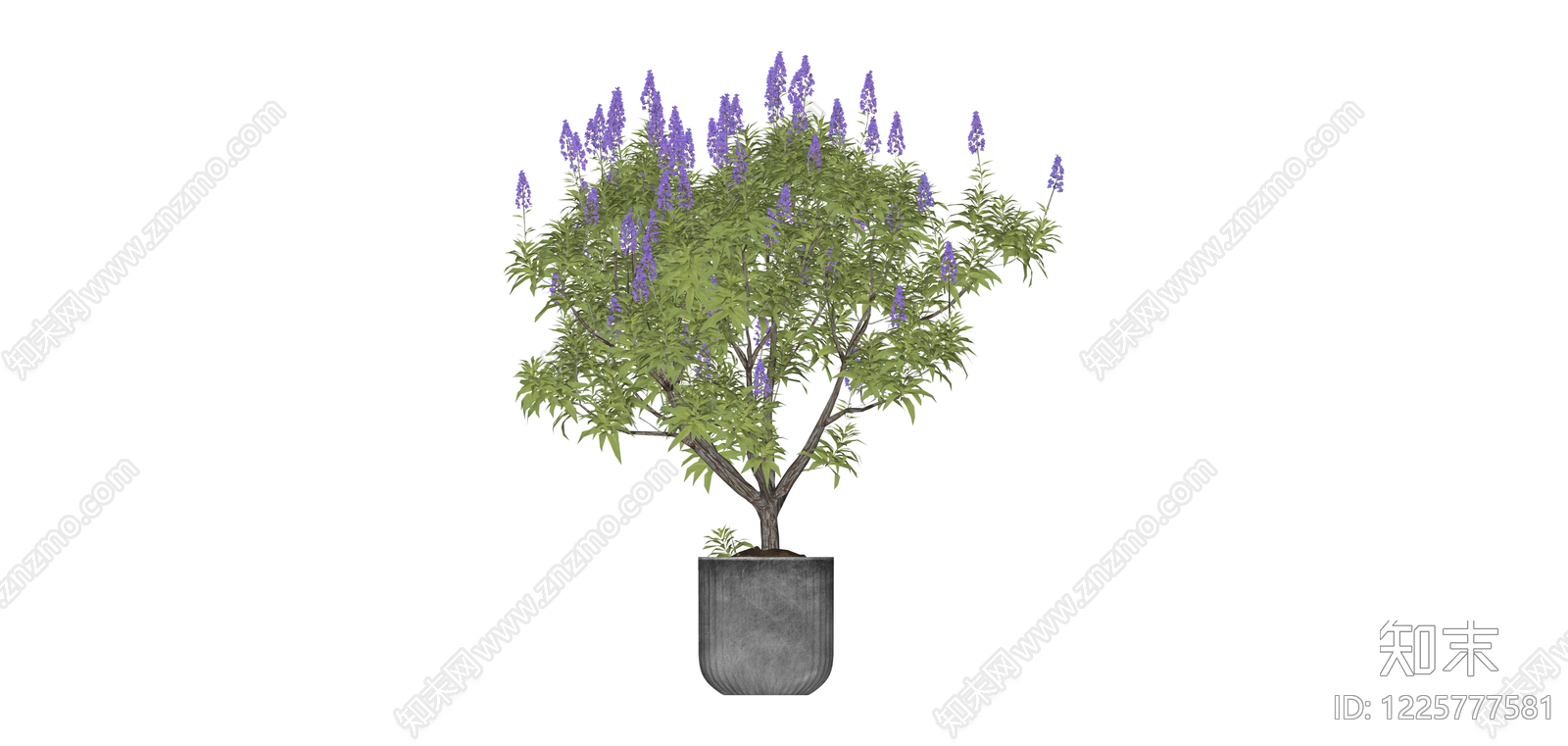 紫色花盆栽植物SU模型下载【ID:1225777581】