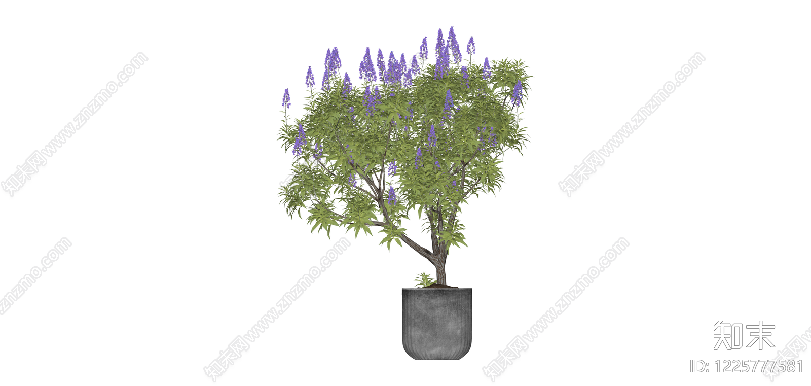 紫色花盆栽植物SU模型下载【ID:1225777581】